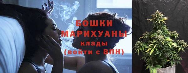 эйфоретик Сосновка
