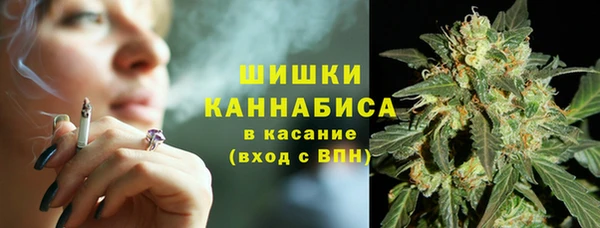 PSILOCYBIN Гусев