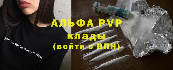 PSILOCYBIN Гусев