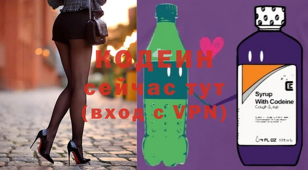 гашик Гусь-Хрустальный