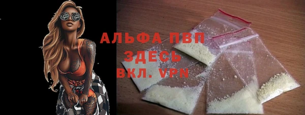 PSILOCYBIN Гусев