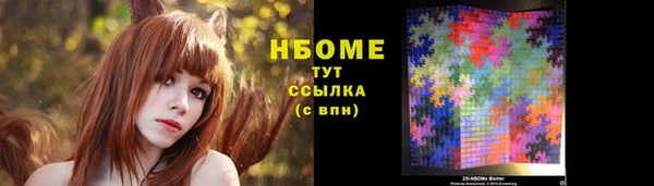 гашик Гусь-Хрустальный