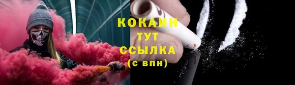 гашик Гусь-Хрустальный