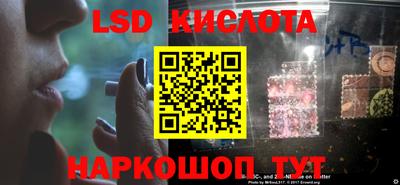 гашик Берёзовский