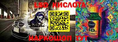 спайс Берёзовский