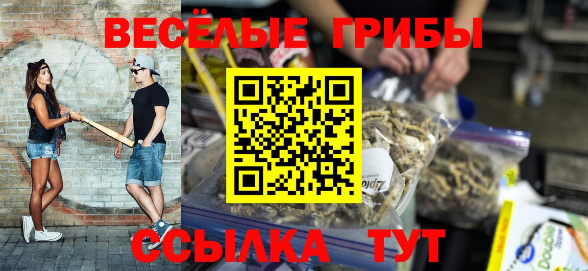 Галлюциногенные грибы Psilocybine cubensis  продажа наркотиков  Богданович 